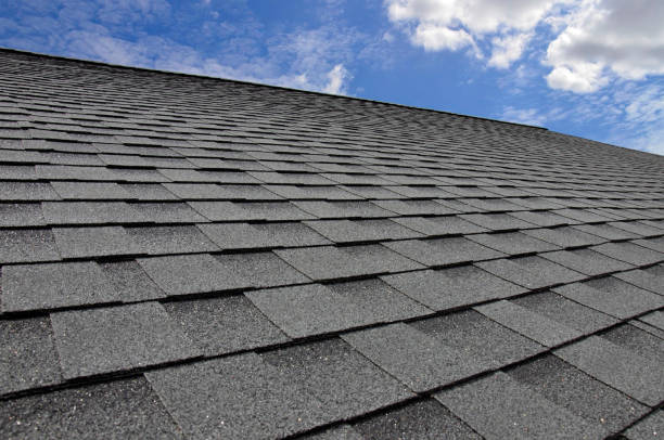 Best Roof Moss and Algae Removal  in Cramerton, NC